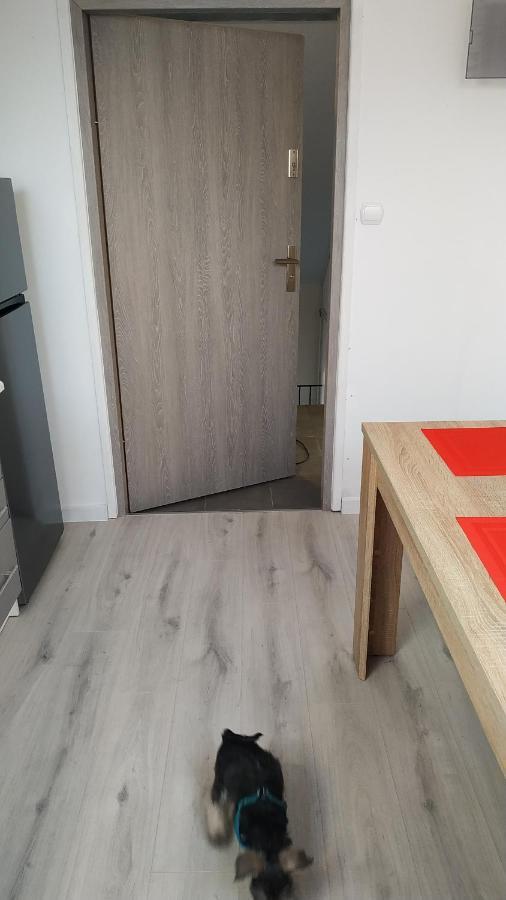 Apartament Witkacego Czerwony Słupsk Exterior foto