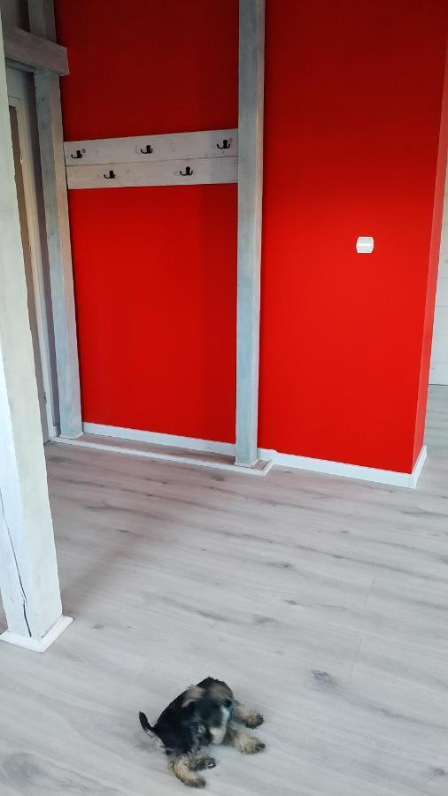 Apartament Witkacego Czerwony Słupsk Exterior foto